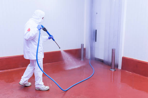 Best Driveway Pressure Washing  in Lincoln Park, MI
